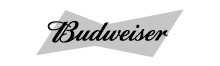 Sofia Varela Diseño Budweiser